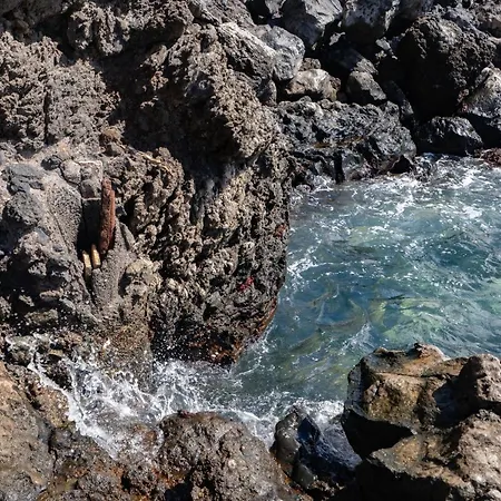 Breath-taking Views On The First Line Of The Ocean Santa-Cruz de Ténérife